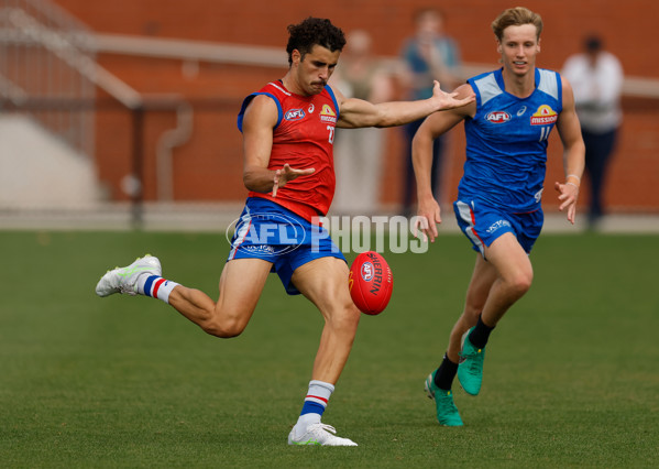 AFL 2026 Training - Western Bulldogs 160126 - A-65259050