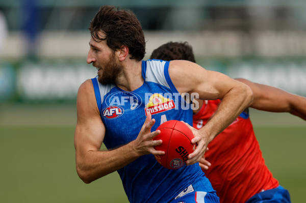 AFL 2026 Training - Western Bulldogs 160126 - A-65259053