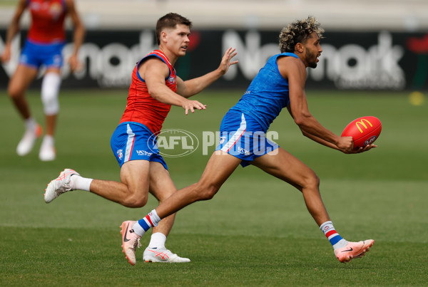 AFL 2026 Training - Western Bulldogs 160126 - A-65259073