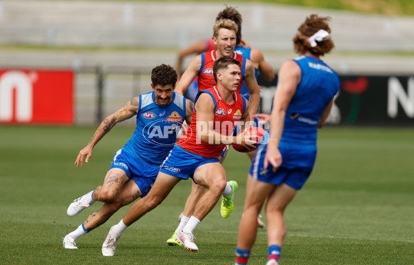 AFL 2026 Training - Western Bulldogs 160126 - A-65259082