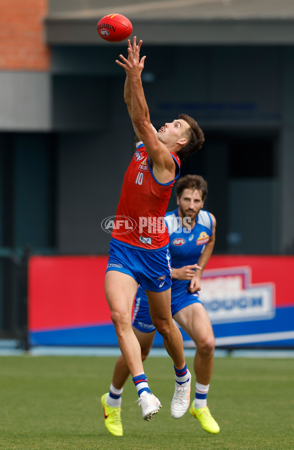 AFL 2026 Training - Western Bulldogs 160126 - A-65259083