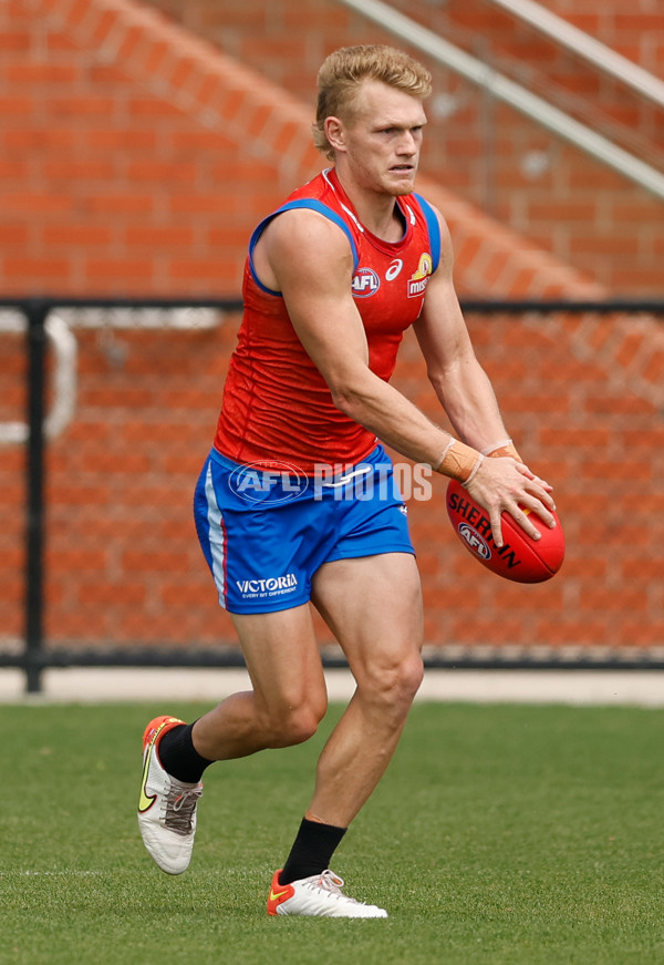 AFL 2026 Training - Western Bulldogs 160126 - A-65259086
