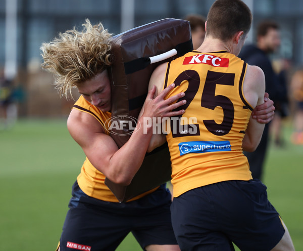 AFL 2026 Training - Hawthorn 220126 - A-65259116