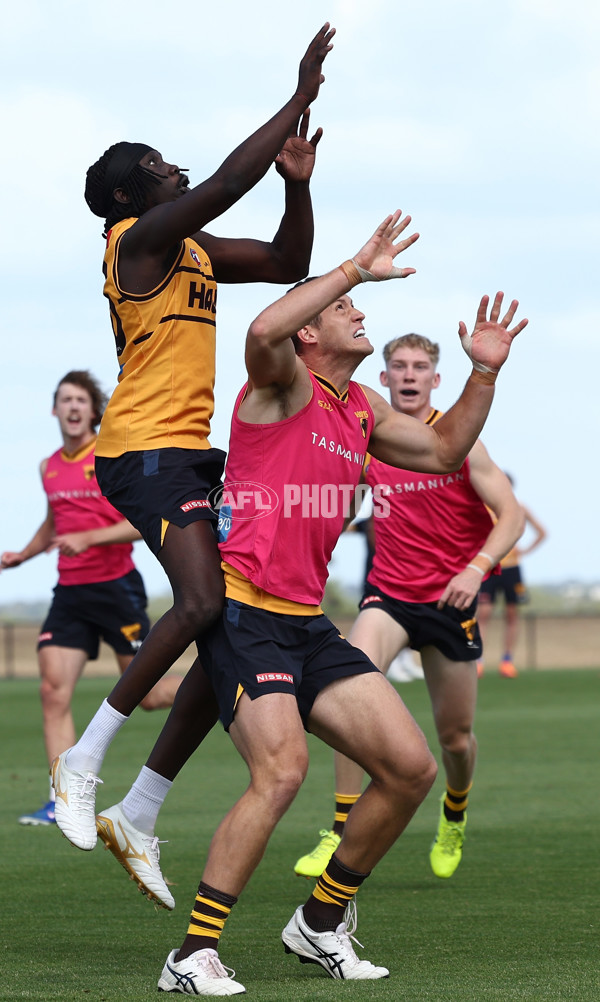 AFL 2026 Training - Hawthorn 220126 - A-65261514