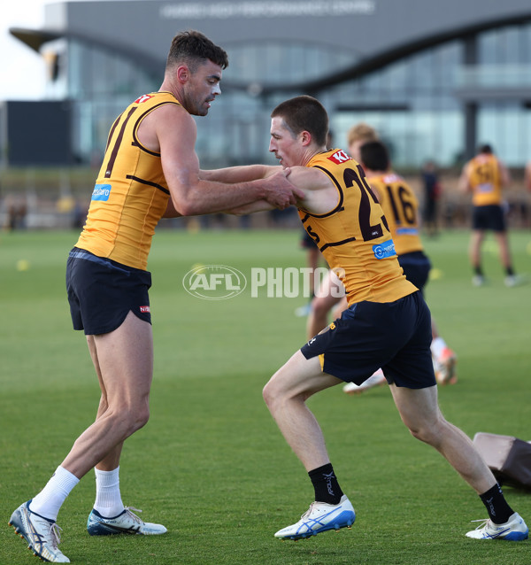 AFL 2026 Training - Hawthorn 220126 - A-65262398