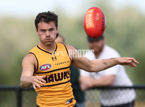 AFL 2026 Training - Hawthorn 220126 - A-65262451