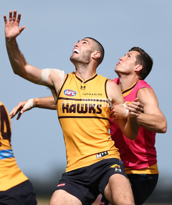 AFL 2026 Training - Hawthorn 220126 - A-65262453