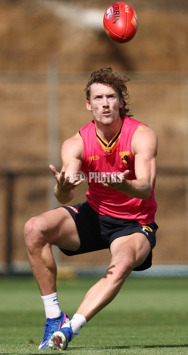 AFL 2026 Training - Hawthorn 220126 - A-65264182
