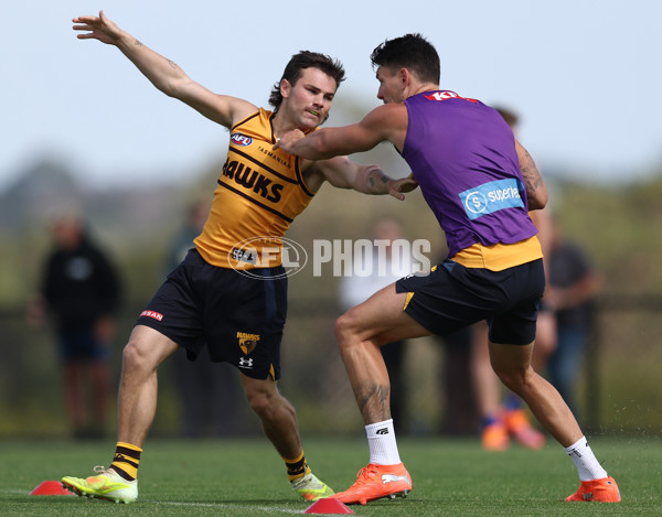 AFL 2026 Training - Hawthorn 220126 - A-65264607