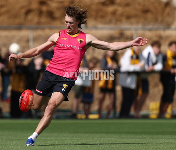 AFL 2026 Training - Hawthorn 220126 - A-65264608