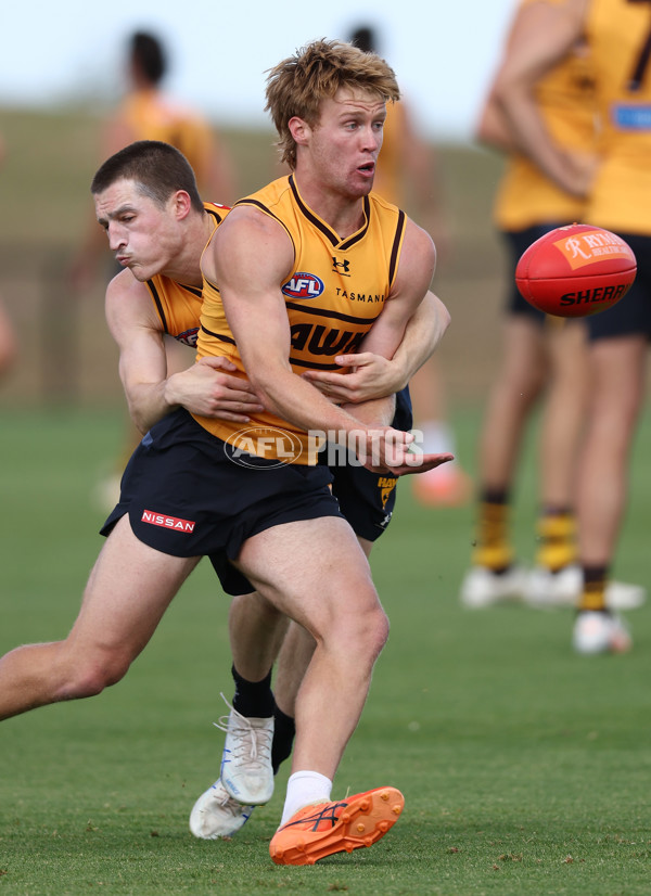 AFL 2026 Training - Hawthorn 220126 - A-65264609