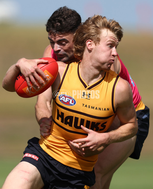 AFL 2026 Training - Hawthorn 220126 - A-65264614