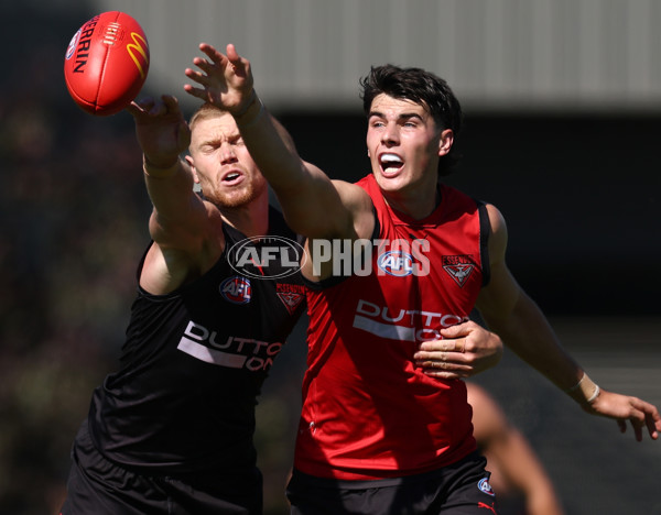 AFL 2026 Training - Essendon 230126 - A-65271906