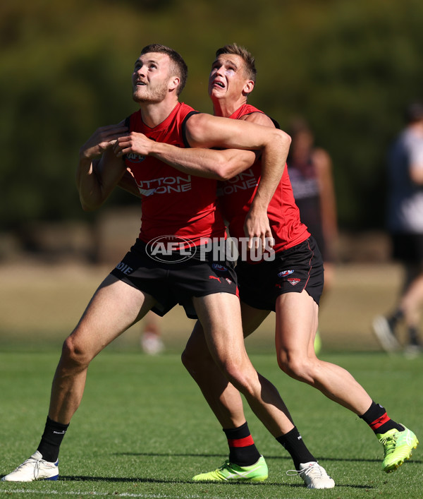 AFL 2026 Training - Essendon 230126 - A-65271915