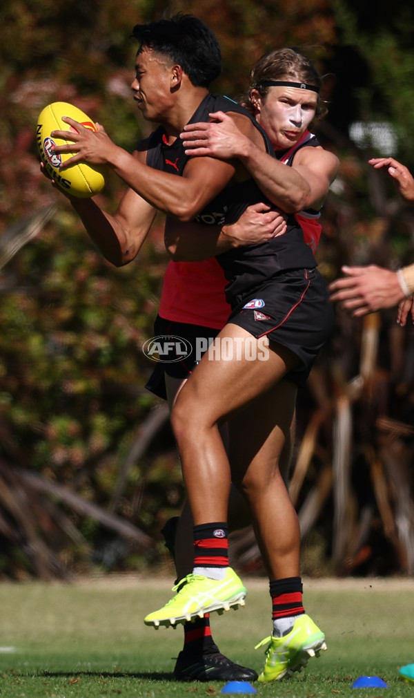 AFL 2026 Training - Essendon 230126 - A-65271950