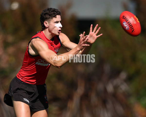 AFL 2026 Training - Essendon 230126 - A-65271955