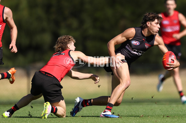 AFL 2026 Training - Essendon 230126 - A-65271956
