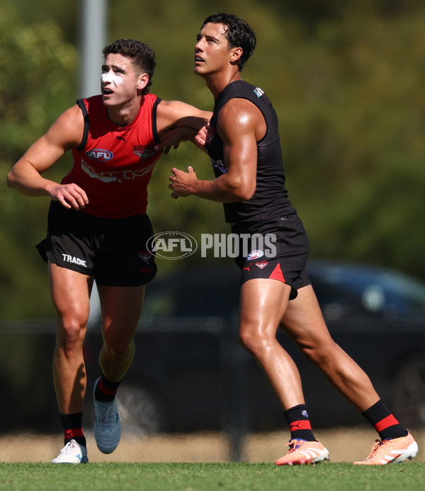 AFL 2026 Training - Essendon 230126 - A-65274731