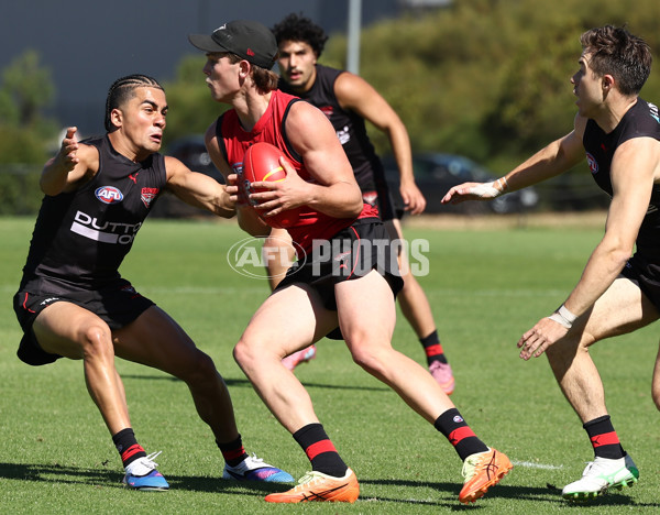 AFL 2026 Training - Essendon 230126 - A-65274759