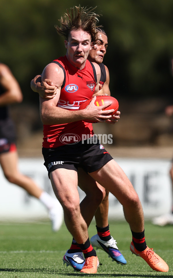 AFL 2026 Training - Essendon 230126 - A-65275452