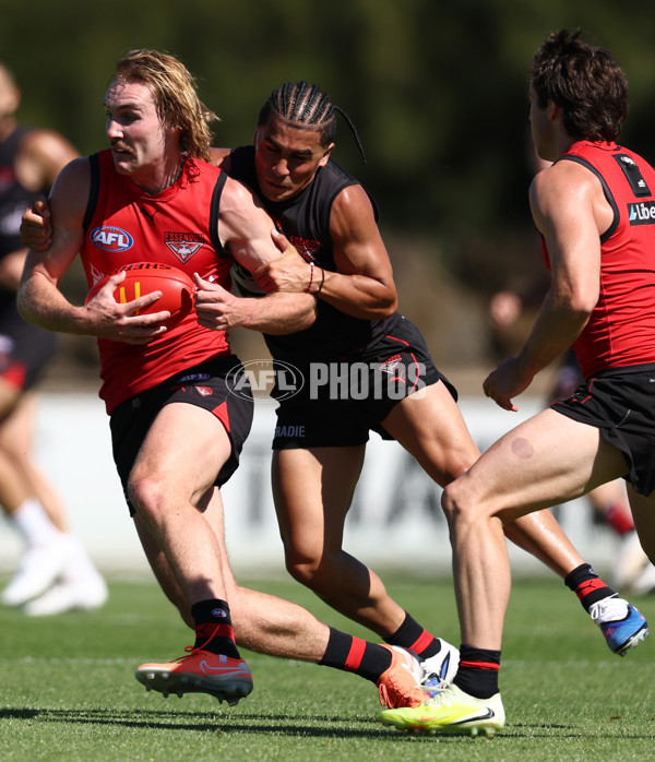 AFL 2026 Training - Essendon 230126 - A-65275453