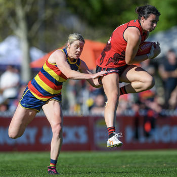 Adelaide V Essendon