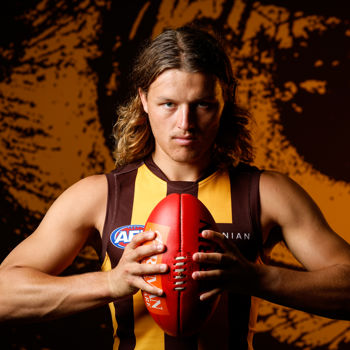 AFL 2024 Portraits - Hawthorn