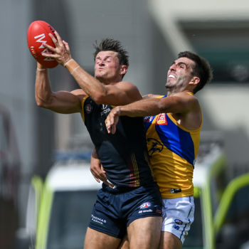 AFL 2024 AAMI Community Series - Adelaide v West Coast