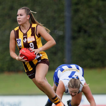 VFLW 2024 Round 05 - Box Hill v North Melbourne