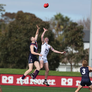 Coates League Boys 2024 Round 18 - Sandringham v Geelong