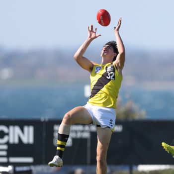 VFL 2024 Wildcard Round - Williamstown v Richmond