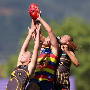 Adelaide V Hawthorn