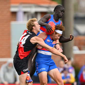 AFL 2025 Match Simulation - Western Bulldogs v Essendon