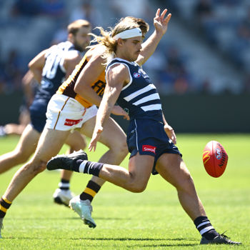 AFL 2025 Match Simulation - Geelong v Hawthorn