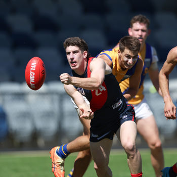 VFL 2025 Practice Match Carnival - Coburg v Williamstown