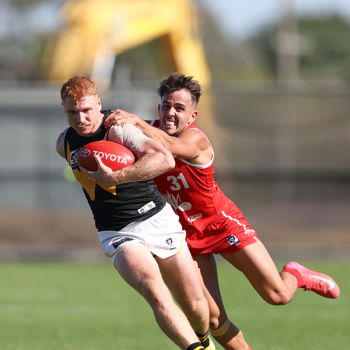 VFL 2025 Practice Match Carnival - Werribee v Northern Bullants