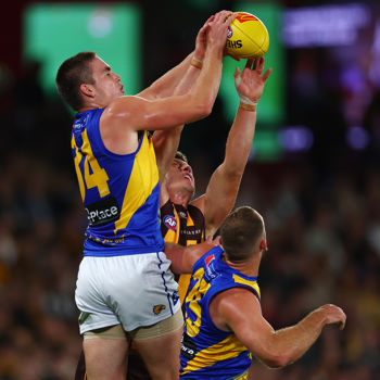 Hawthorn V West Coast