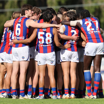 VFL 2025 Round 06 - Northern Bullants v Port Melbourne