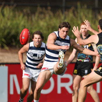 VFL 2025 Round 12 - Werribee v Geelong Cats