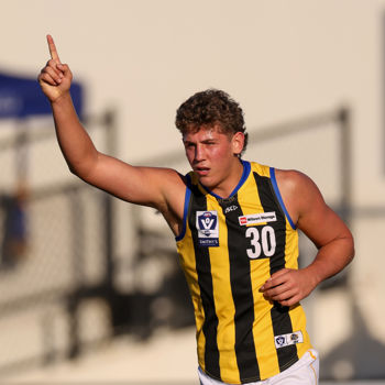 VFL 2025 Round 14 - Williamstown v Sandringham