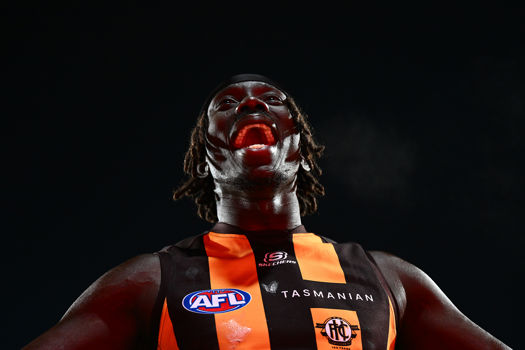 afl banner
