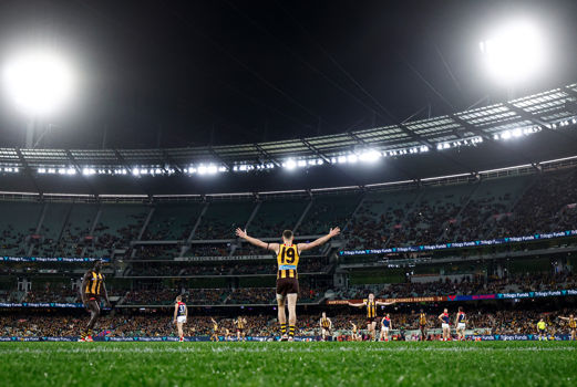 afl banner