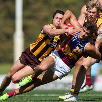 VFL 2025 Second Semi Final - Box Hill v Brisbane