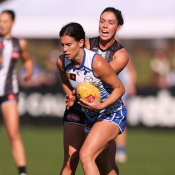 North Melbourne V Collingwood