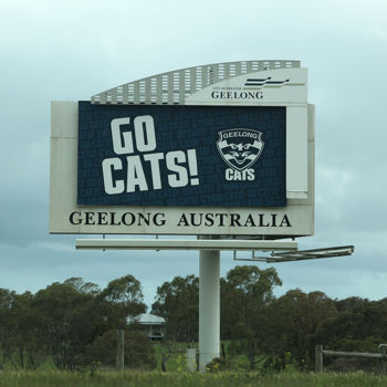 AFL 2025 Media - Geelong Grand Final Colour